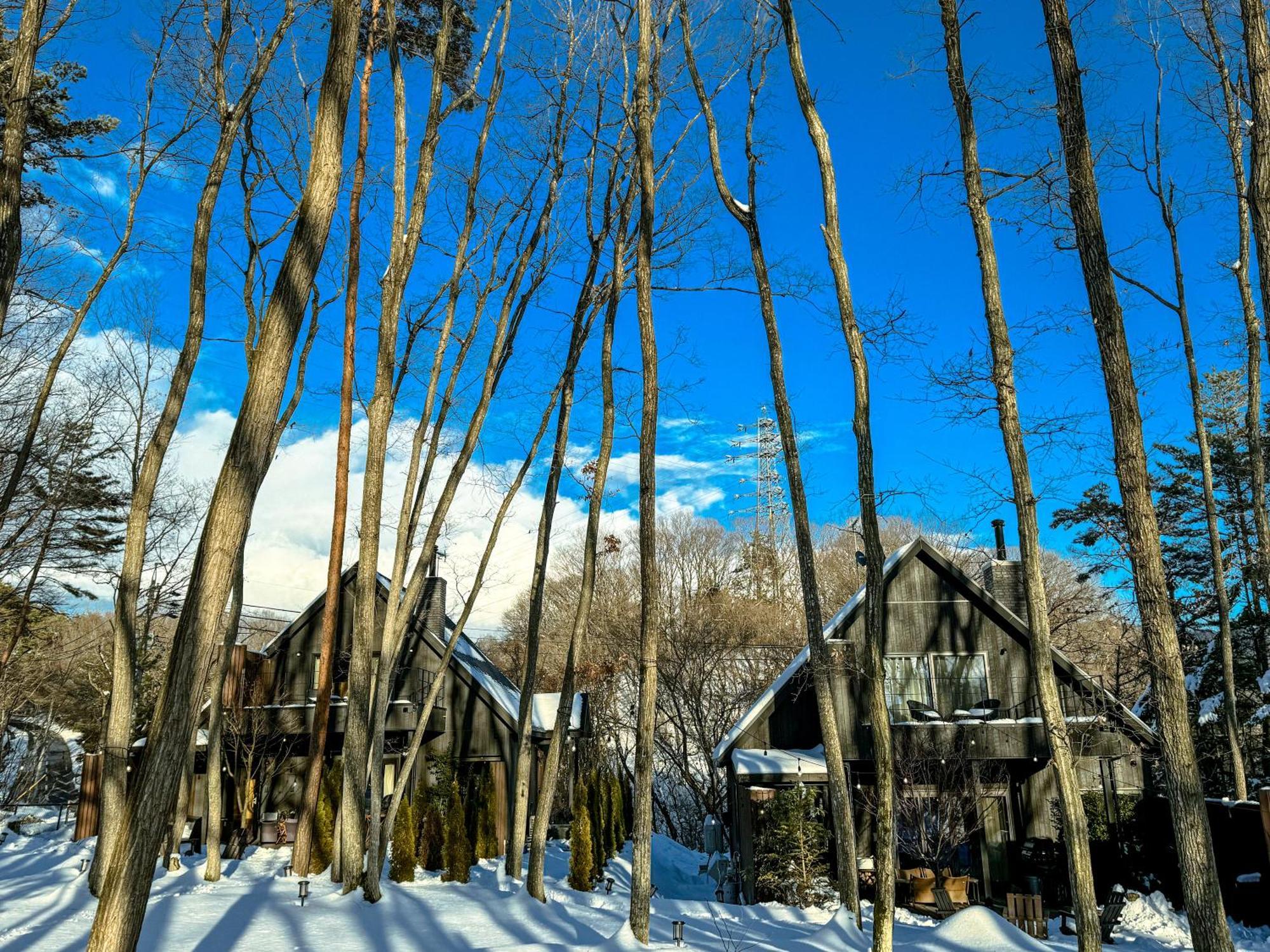 Sauna Forest Cabin 軽井沢 御代田　Mori-Asobi Oiwake Extérieur photo