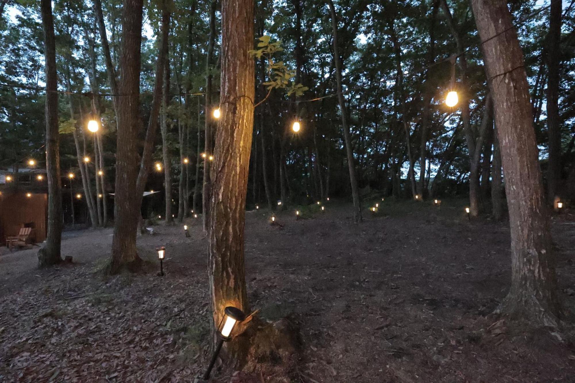 Sauna Forest Cabin 軽井沢 御代田　Mori-Asobi Oiwake Extérieur photo